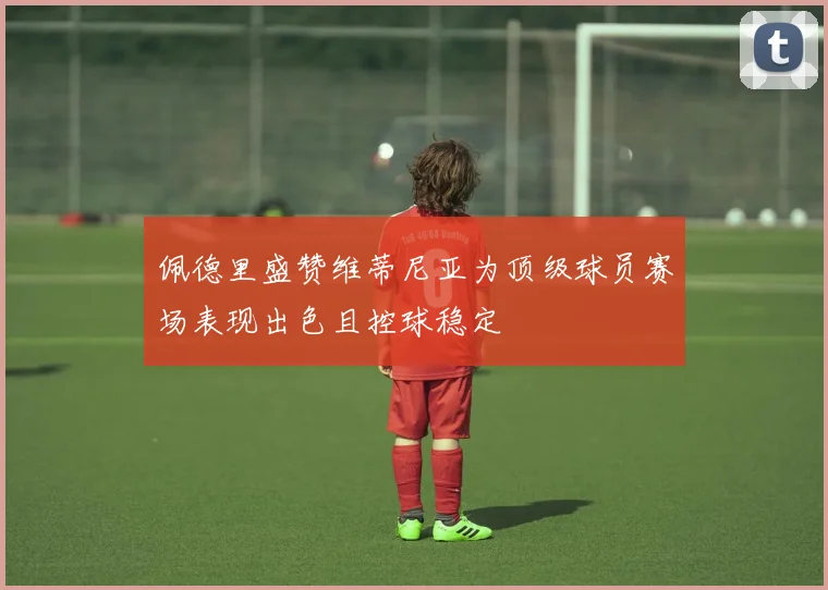 佩德里盛赞维蒂尼亚为顶级球员赛场表现出色且控球稳定